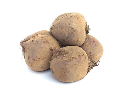 Frische rote beete - rote,